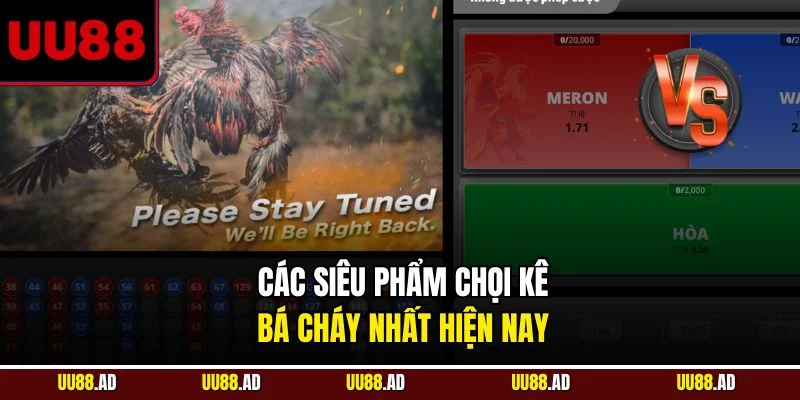Các siêu phẩm chọi kê bá cháy nhất hiện nay