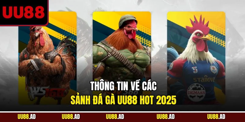 Thông tin về các sảnh đá gà UU88 hot 2025